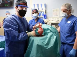 Organ-transplantation-lung-transplantation